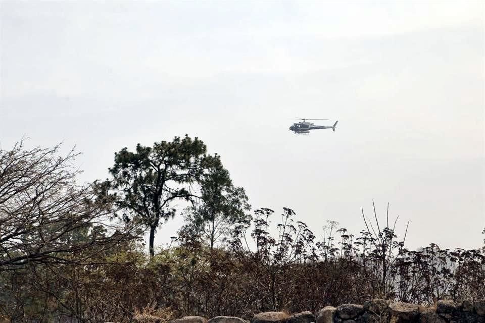 Sería el primer incendio fortestan el La Primavera que ocurre por causas naturales en lo que va del año.