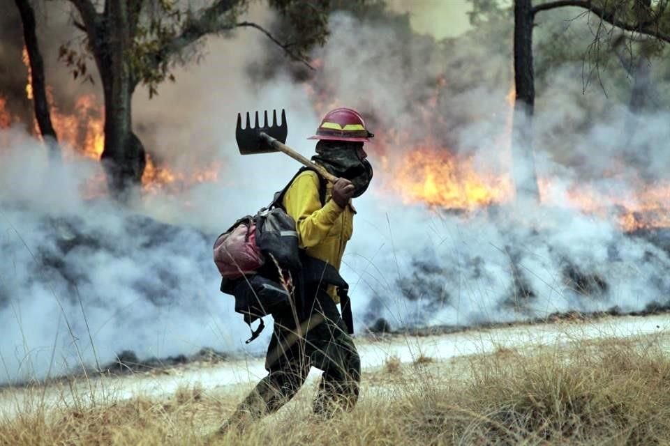 Los brigadistas forestales en Jalisco cuentan con un salario que oscila entre 9 mil 795 y 13 mil 283 pesos mensuales.