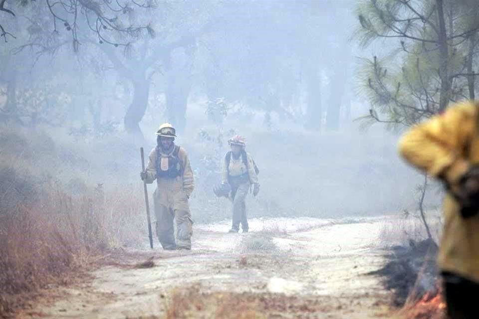 Ayer, luego de tres días de combate, autoridades de Jalisco declararon controlado el incendio forestal en el Bosque La Primavera, en Tala.