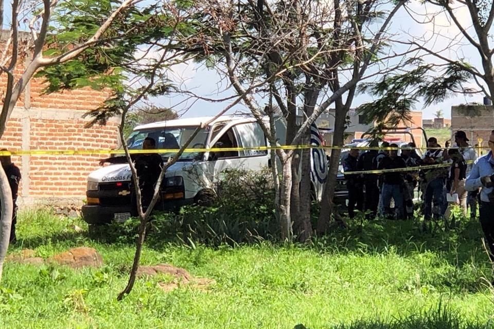 Las víctimas del multihomicidio fueron encontradas en un predio, entre la maleza.