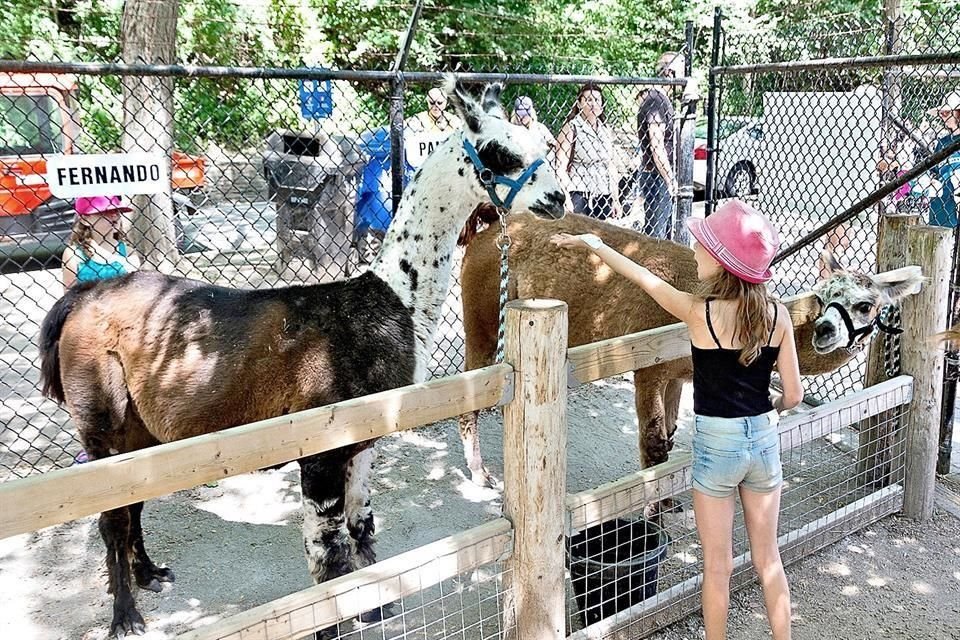 High Park Zoo.