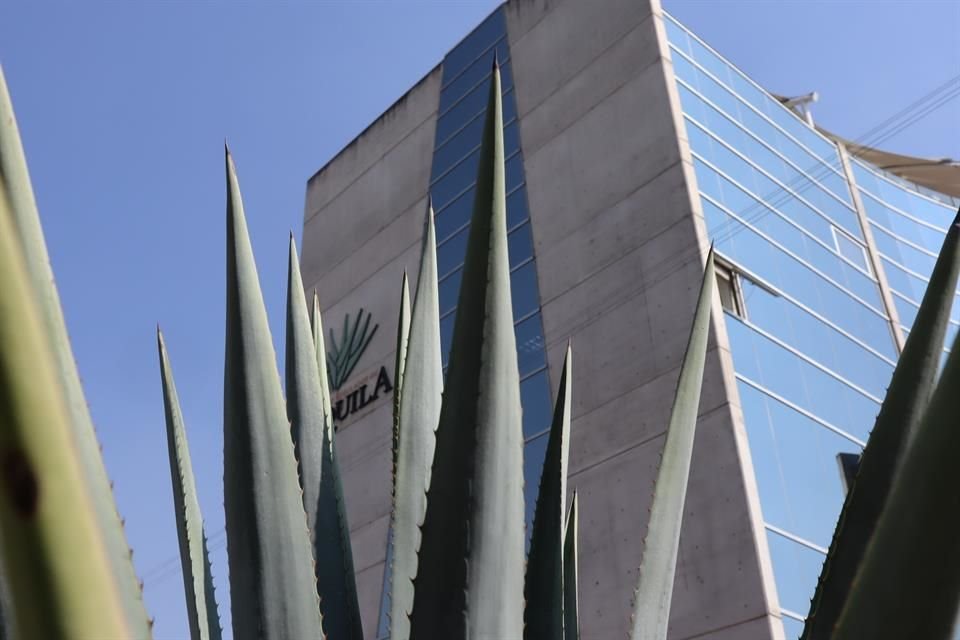 Proyectos de Sustentabilidad del CRT tiene el objetivo de impulsar el desarrollo de proyectos sostenibles para la cadena agave-tequila.