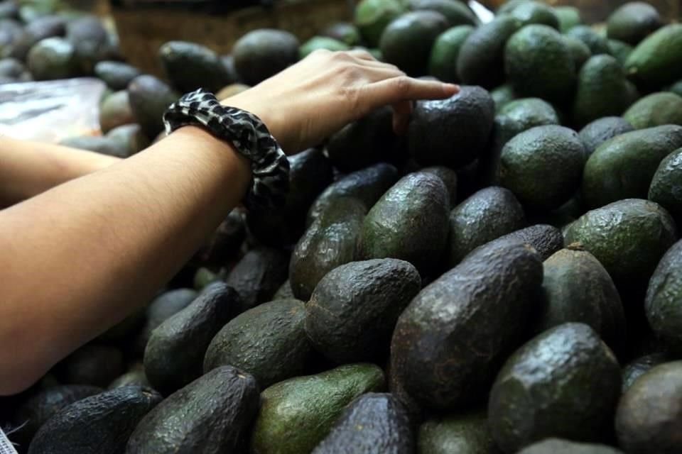 Una hectárea de árboles de aguacate consume 160 por ciento más agua que una de bosque nativo, según un estudio.