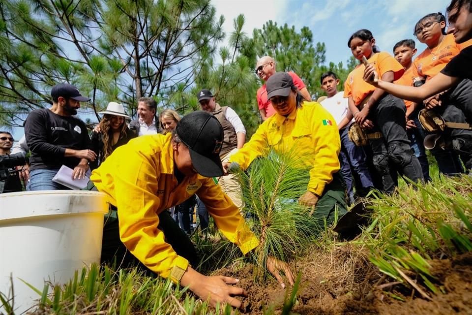 Reforestarán zonas afectadas por incendios en La Primavera, con 78 mil árboles y 45 mil bombas de semillas.