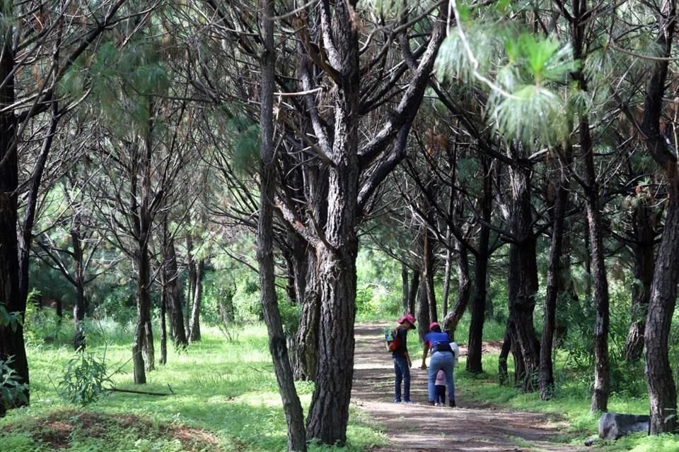 Inauguración del Bosque Pedagógico del Agua, Colomos III.