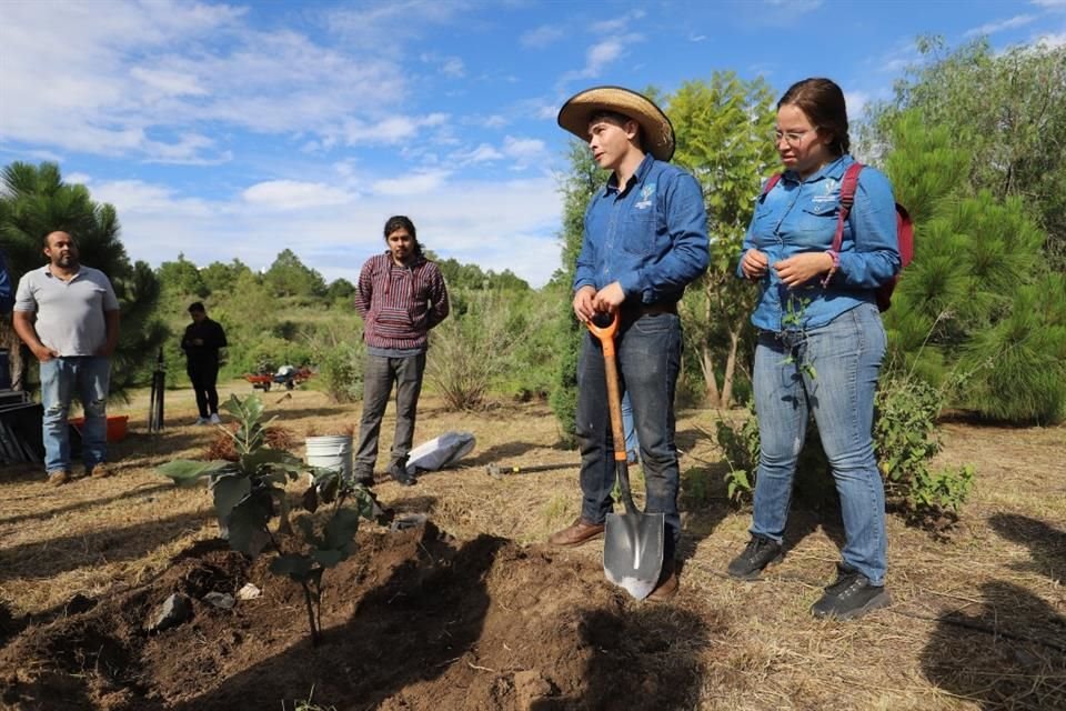 Veintiséis años pasaron desde que activistas comenzaron a habilitar el predio público de Colomos III como un área verde.