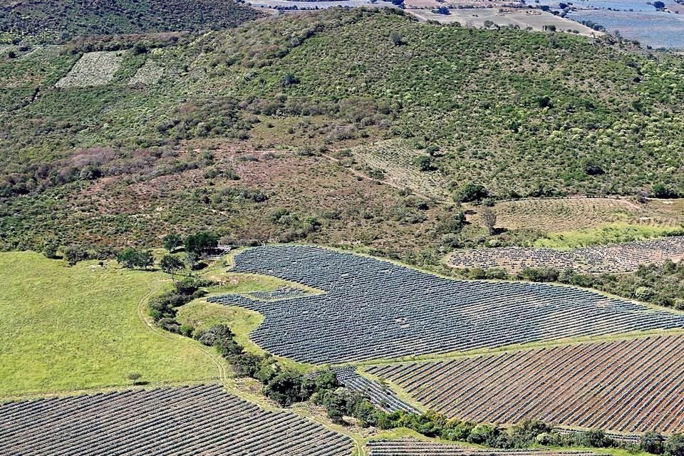 El Reporte de Compatibilidad ARA puede arrojar un resultado sobre la condición de  tu terreno.