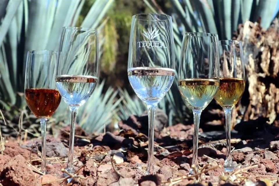 El tequila es una bebida con tanta riqueza que se produce por clases y categorías.