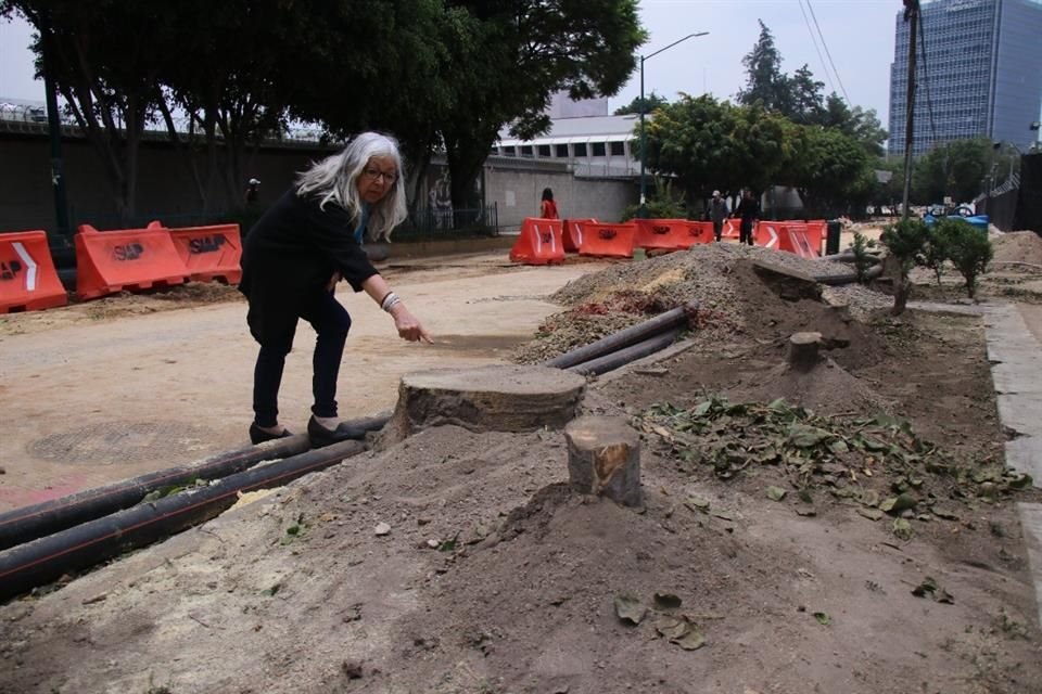 Sheinbaum dijo que representantes de la Administración capitalina buscan que se disminuya el número de árboles que serán derribados.