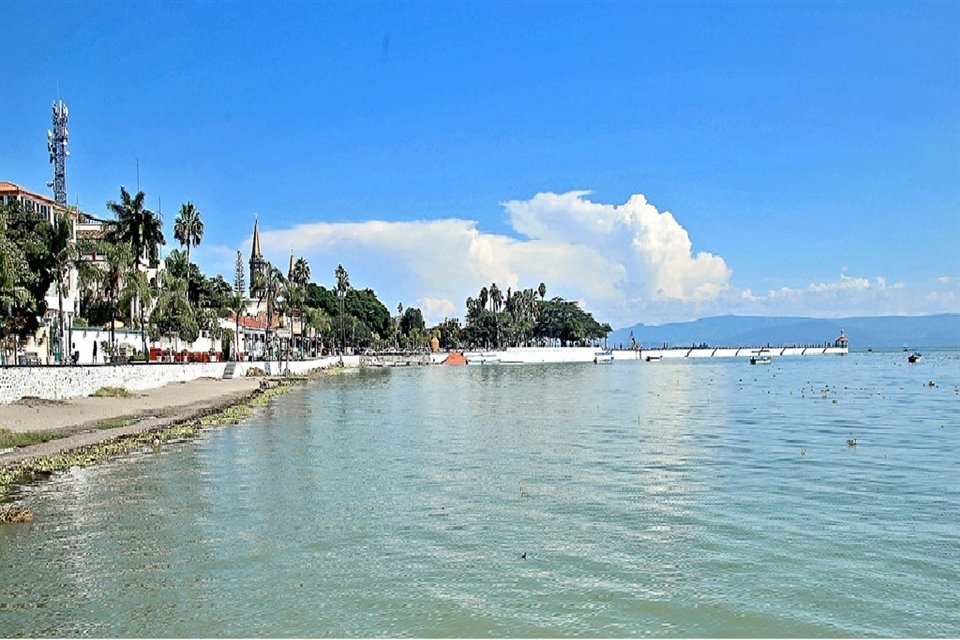 Se han detectado microalgas que proliferan debido a fuentes de contaminación en el lago.
