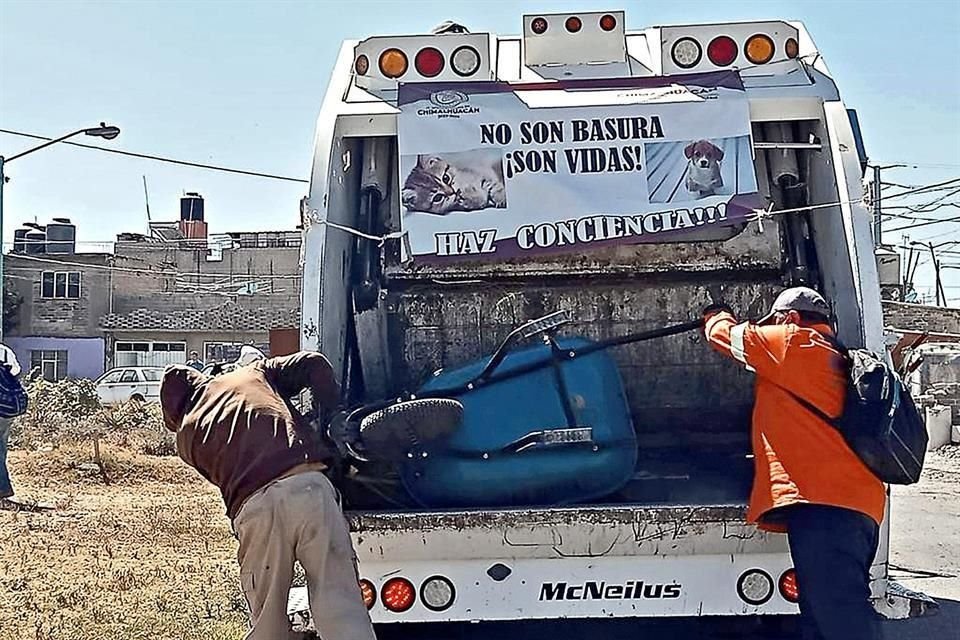 Desde marzo, se han localizado mil 743 cachorros envueltos en bolsas de plástico y ocultos entre el resto de la basura de Chimalhuacán.