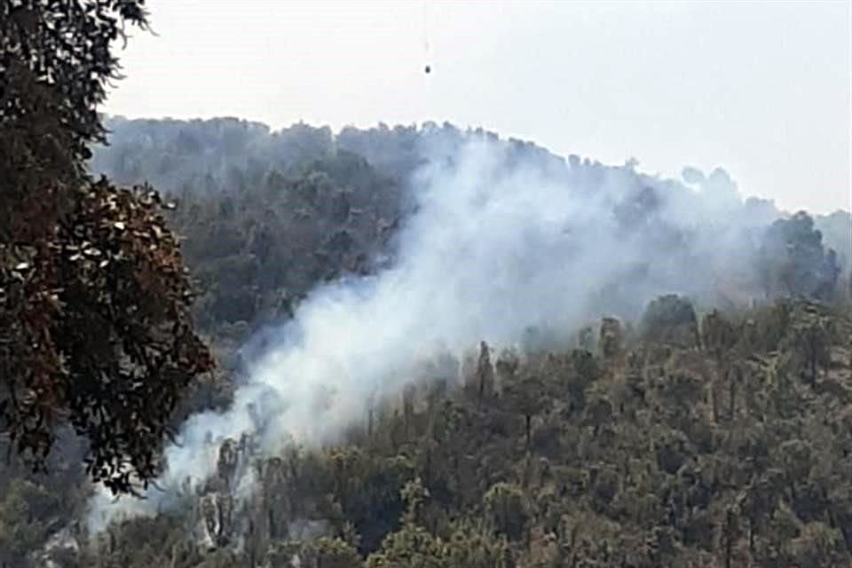 Apenas la semana pasada se registró un incendio en Los Cajetes, en Tala.