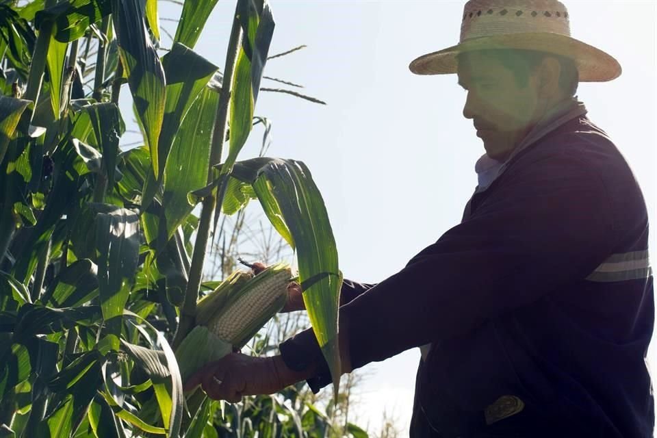 Representantes del sector han señalado que el RSC compromete la productividad de pequeños y medianos productores.