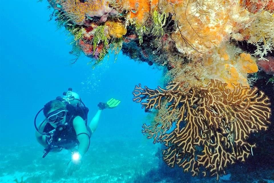 Cálido y acogedor, así es Quintana Roo.