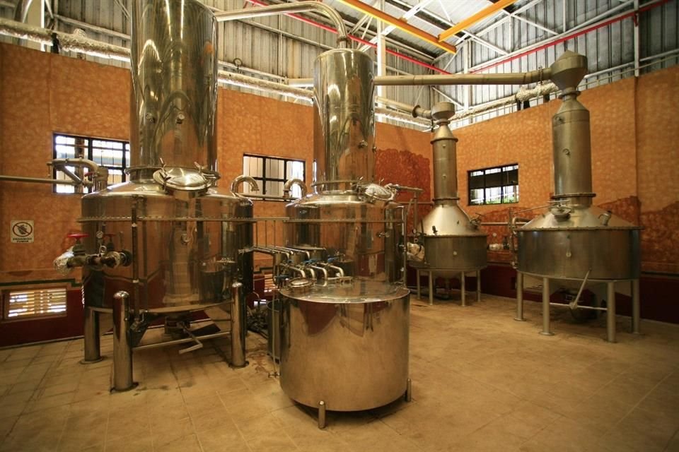 Del total de tequileras autorizadas, 6.3 por cierto son encabezadas por mujeres, es decir, 11 empresas, las cuales aportan el 2 por ciento de la producción de tequila.