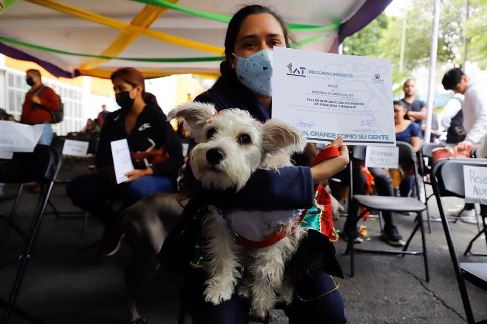 Perritos entrenados para rescatar a sus dueños dieron su primer servicio de contención emocional  durante sismo de 7.7.