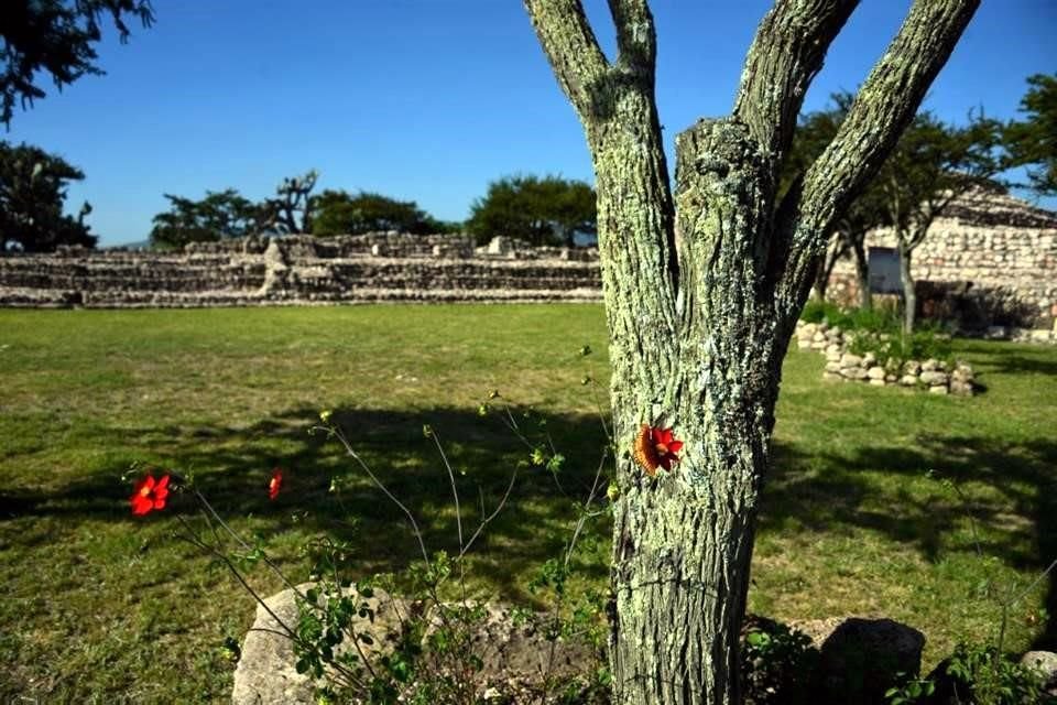 Cañada de la Virgen es un asentamiento prehispánico de origen hñähñu (otomí), que sus antiguos habitantes construyeron a partir de la contemplación de la ruta del Sol.