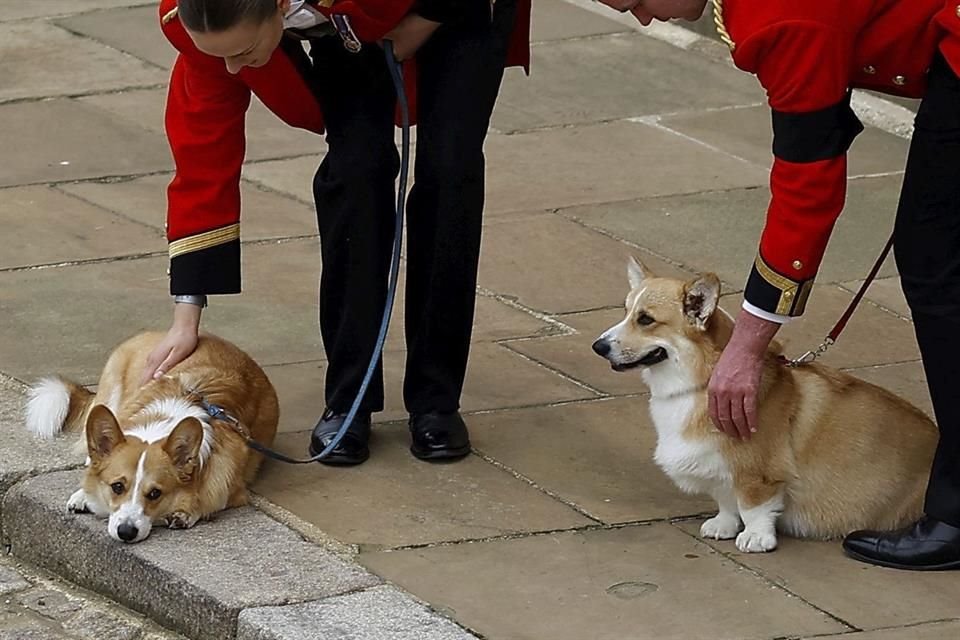 La Reina Isabel II falleció en tranquilidad y en compañía de sus últimos dos corgis en Balmoral.