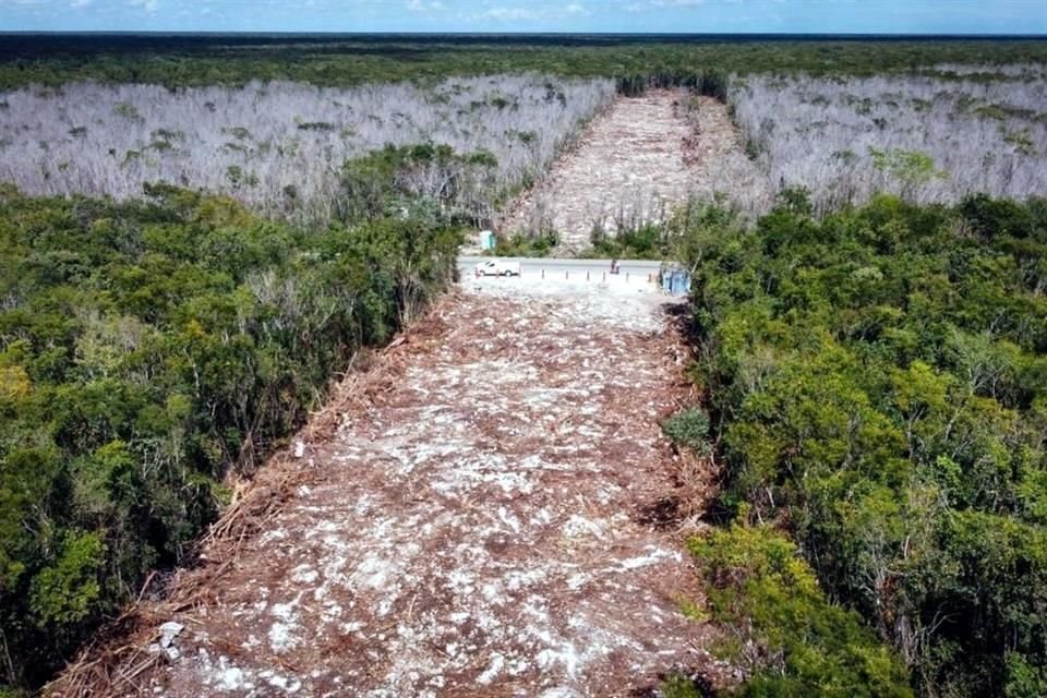 Un juez federal autorizó al Gobierno iniciar obras del Tramo Cinco Norte del Tren Maya, de Cancún a Playa del Carmen.