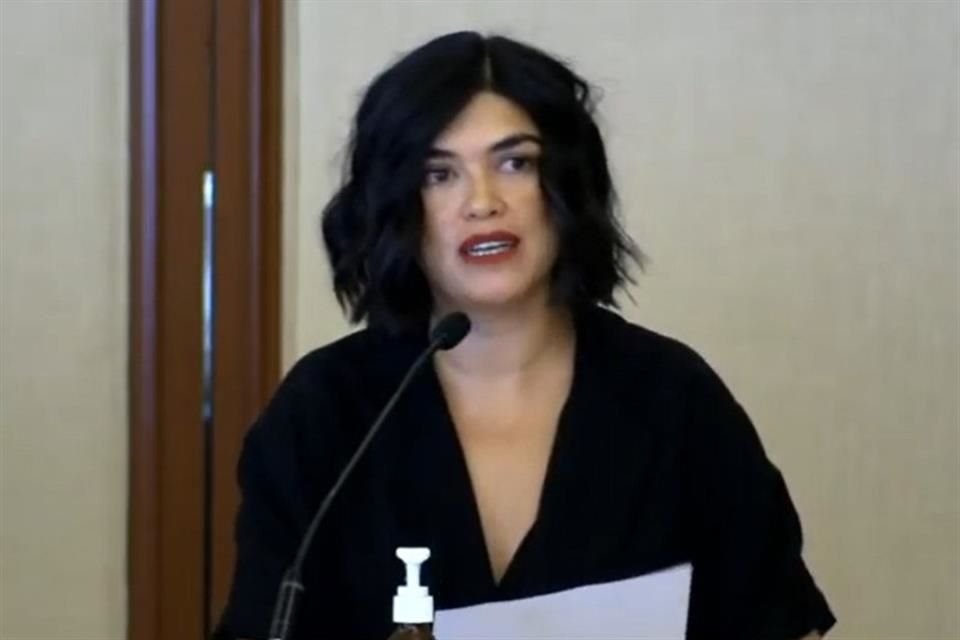 Patricia Martínez Barba, titular del Imeplan.