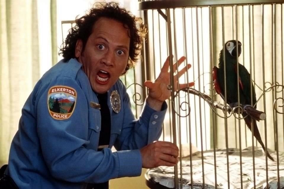 El actor Rob Schneider trabaja en la secuela de su película Animal de 2001; asumirá su papel de Marvin Mange y también la dirección del proyecto.