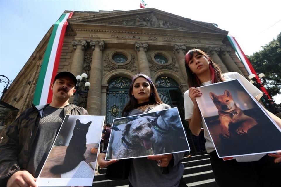 En el Congreso local, Adriana Mondragón, Nydia Fernández y Héctor Lara enseñaron las fotos de sus animales de compañía.