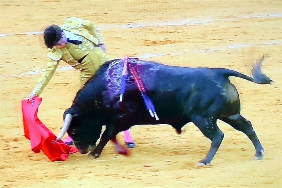Antes de ser herido, Manuel Perera consiguió muletazos de mucha calidad al novillo de 'El Juli'.