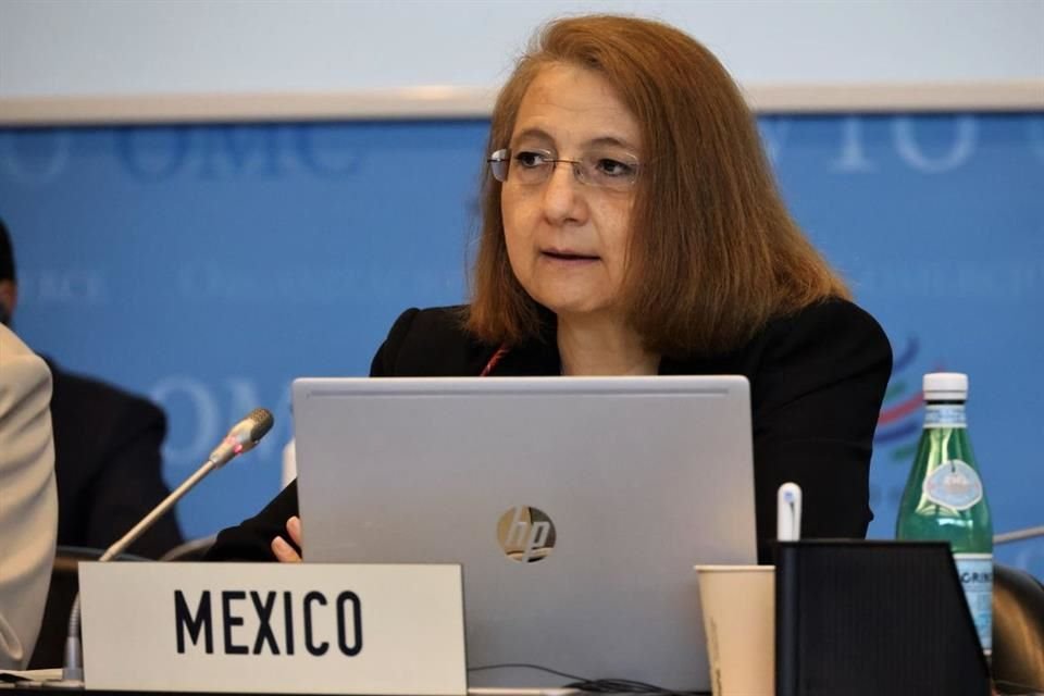 Luz María de la Mora, ex Subsecretaria de Comercio Exterior de la Secretaría de Economía.