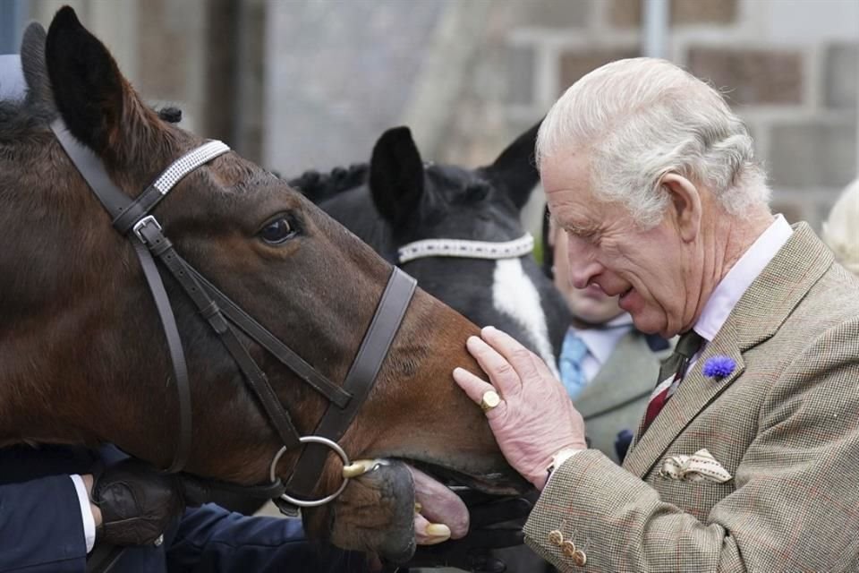 El Rey Carlos III busca reducir la cría de caballos, poniendo en subasta a 12 de 37 caballos que poseía Isabel II.