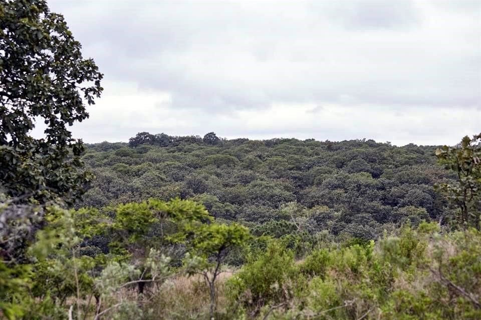 Diagnóstico estratégico del bosque concluye que existe un constante incumplimiento a los reglamentos internos del área protegida.