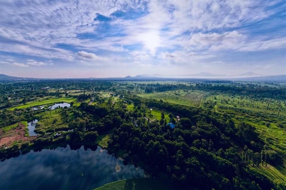 'La Ciudad de México obtuvo el primer lugar en los premios Ciudad Verde Mundial 2022, en la categoría Vivir Verde para combatir el Cambio Climático', indicó.