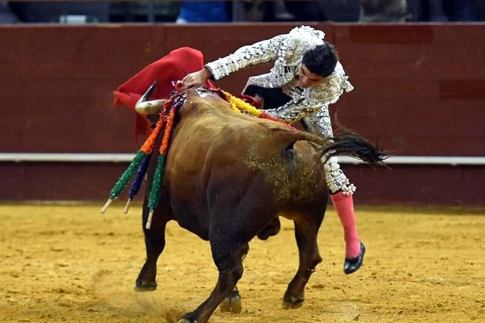 Al ejecutar la estocada Aguado fue herido hoy en Madrid. Una lesión grave con muchos destrozos musculares.