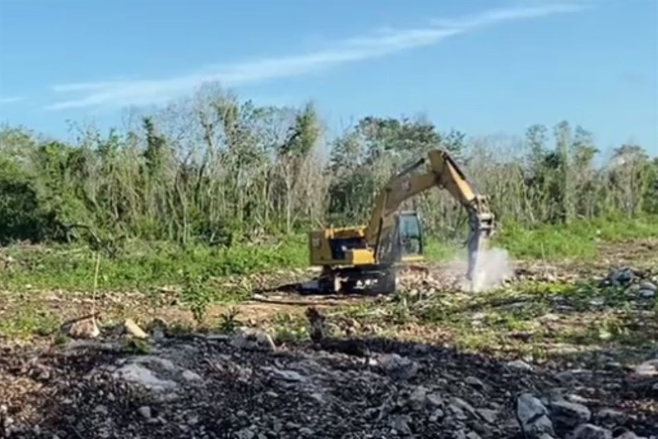 Juez Primero de Distrito con sede en Yucatán otorgó una nueva suspensión provisional del Tramo 5 del Tren Maya, informó colectivo.