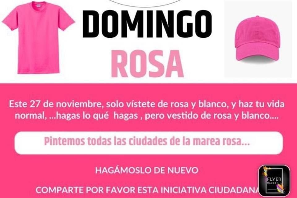 Las agrupaciones ciudadanas y activistas en defensa del INE llamaron a los ciudadanos a vestir de rosa el próximo domingo 27 de noviembre.