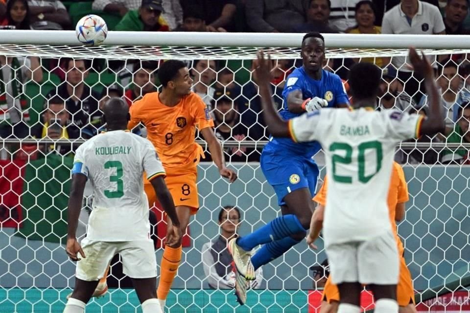 Gakpo le ganó en este salto a Edouard Mendy, portero de Senegal y del Chelsea, para abrir el marcador.