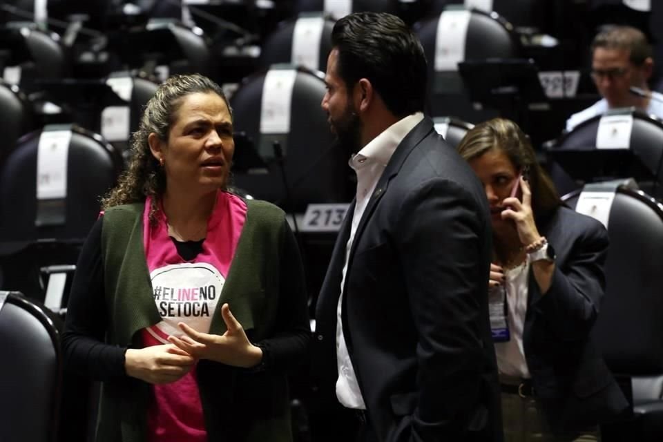 La panista Mariana Gómez del Campo exhibe una playera en defensa del Instituto Nacional Electoral (INE).