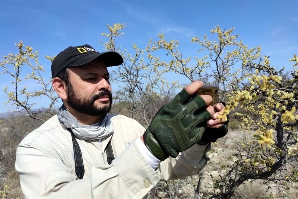 'En realidad se conoce una muy pequeña parte de la biodiversidad en la Tierra', dice el biólogo Carlos Velazco.