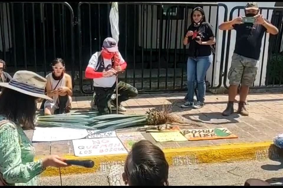Los agaves fueron colocados frente a Casa Jalisco.