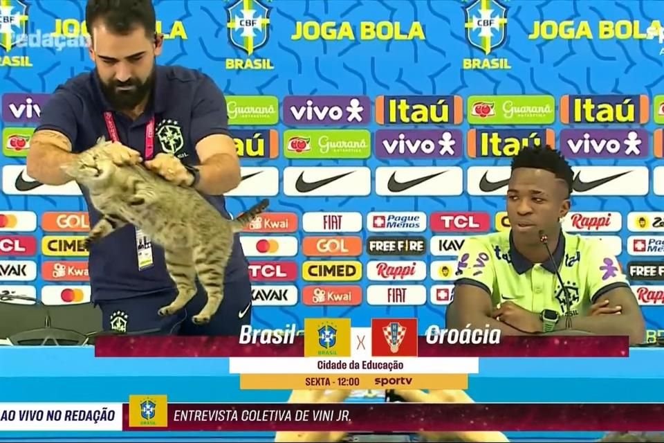 El gato fue agarrado y echado de la mesa, ante la insólita mirada de Vinícius.