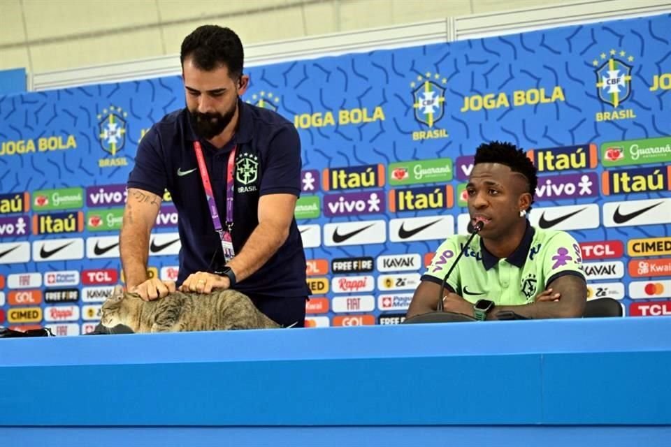 El jefe de prensa de la Selección brasileña fue criticado por la forma en la que bajó al gato de la mesa.