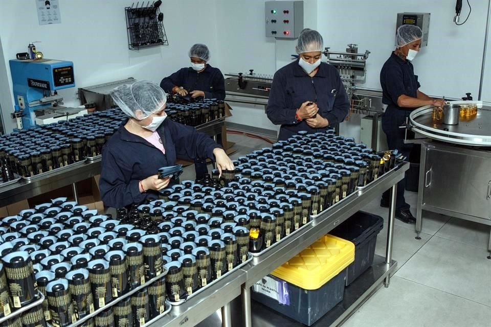 Jalisco registró el mejor año en reparto de utilidades en 17 años y 100% de empresas entregaron aguinaldo, informó Coparmex.
