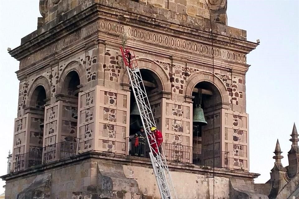 Bomberos de Guadalajara acudieron al sitio para retirar la rama.