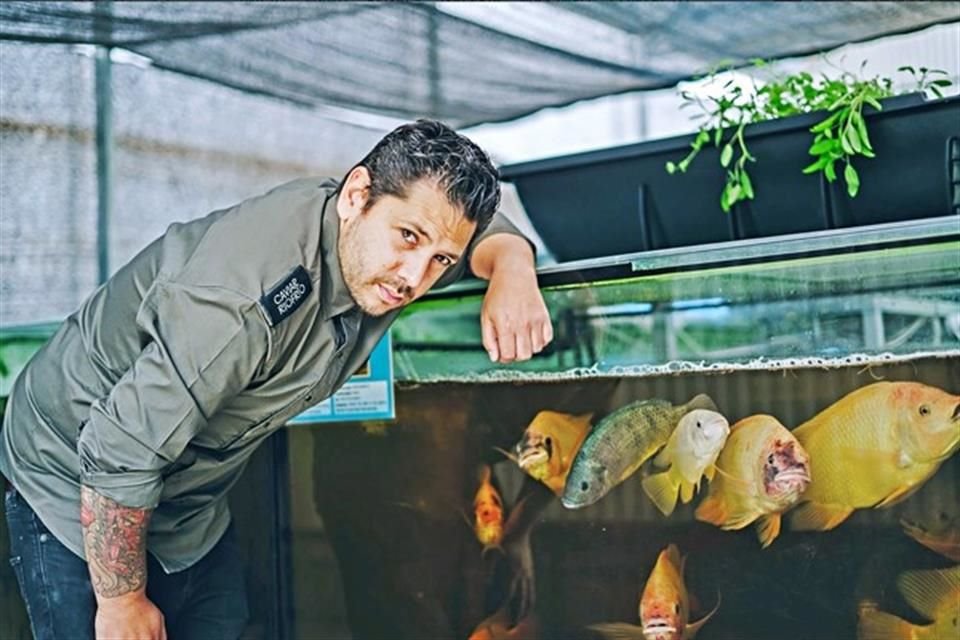 Chef Diego Gallegos, propietario de restaurante Sollo (Málaga), galardonado con una Estrella Verde Michelin.