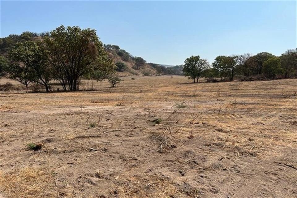 Joel 'H' habría ordenado a varias personas usar maquinaria como retroexcavadoras y  motosierras para destruir árboles, vegetación y abrir caminos en el bosque.