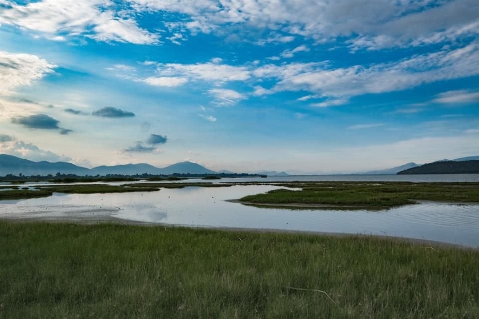 Los humedales contribuyen a limpiar el agua, capturar carbono y proteger a las poblaciones de inclemencias climáticas.