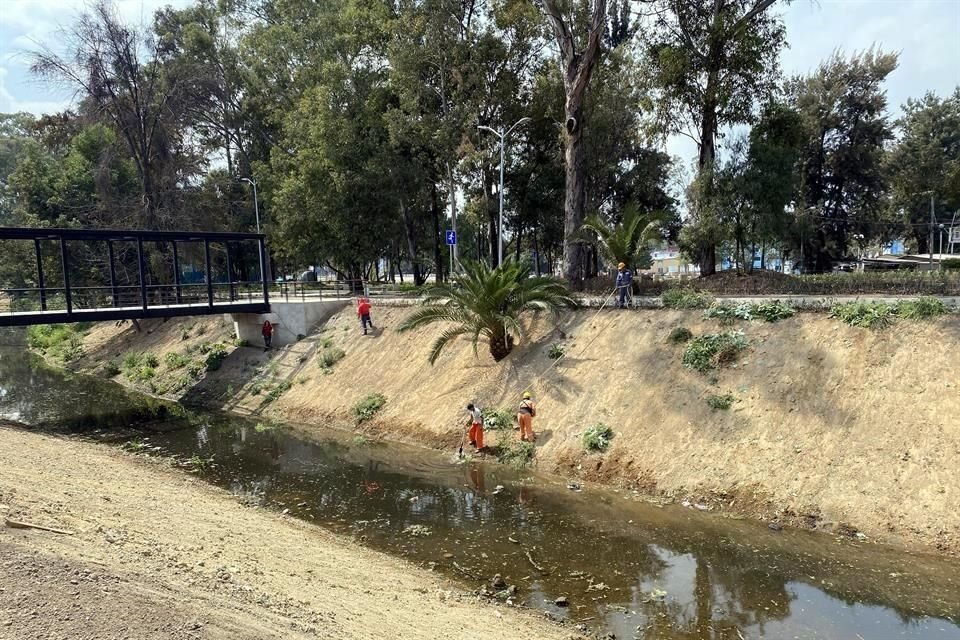 La limpieza, estabilización y vegetación de laderas forma parte de los trabajos, que van por la tercera etapa.