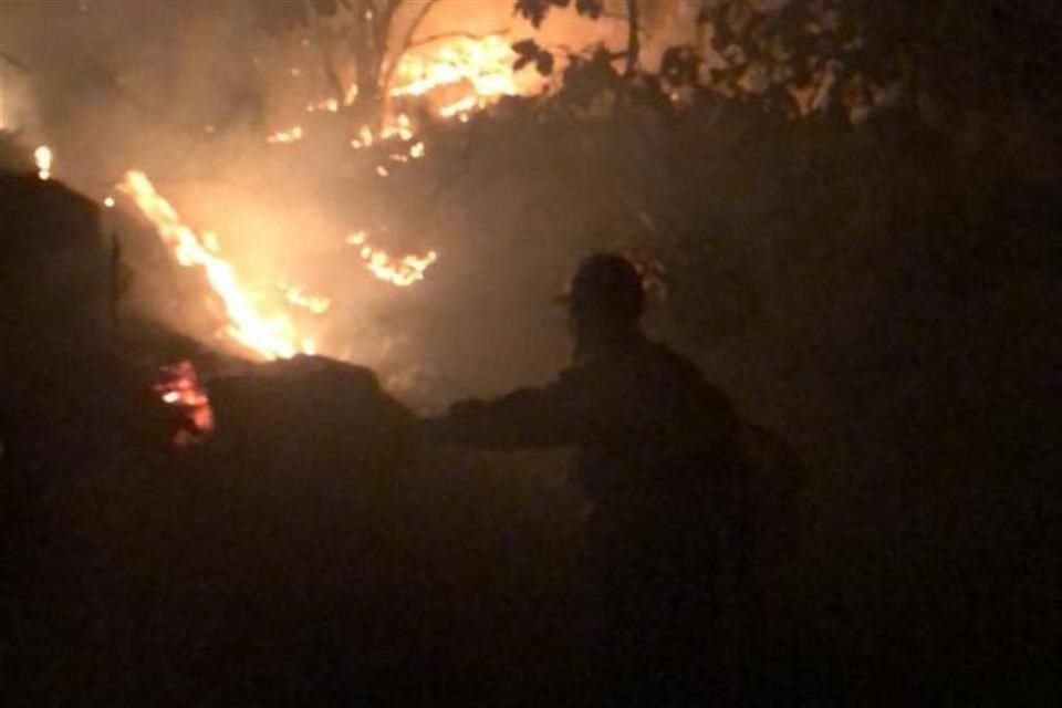 El primer incendio forestal del año en el bosque La Primavera, que inició ayer a las 14:40 horas se declaró controlado a las 6:00 horas de este martes.