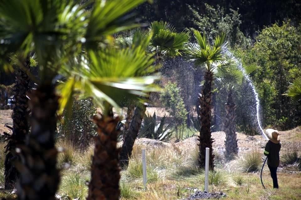 La suspensión se otorgó el 13 de febrero, luego de que cedieran un tramo del Vivero ubicado en Xochimilco para la Guardia Nacional.