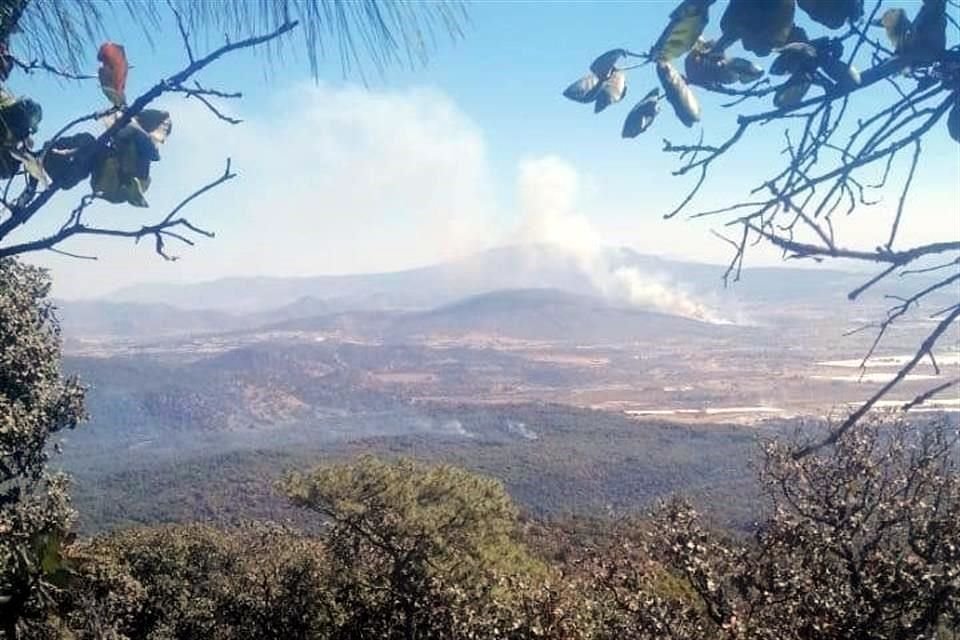 Esta semana ya se registraron incendios en La Primavera. Además, ayer había cuatro de manera simultánea en Tlajomulco.