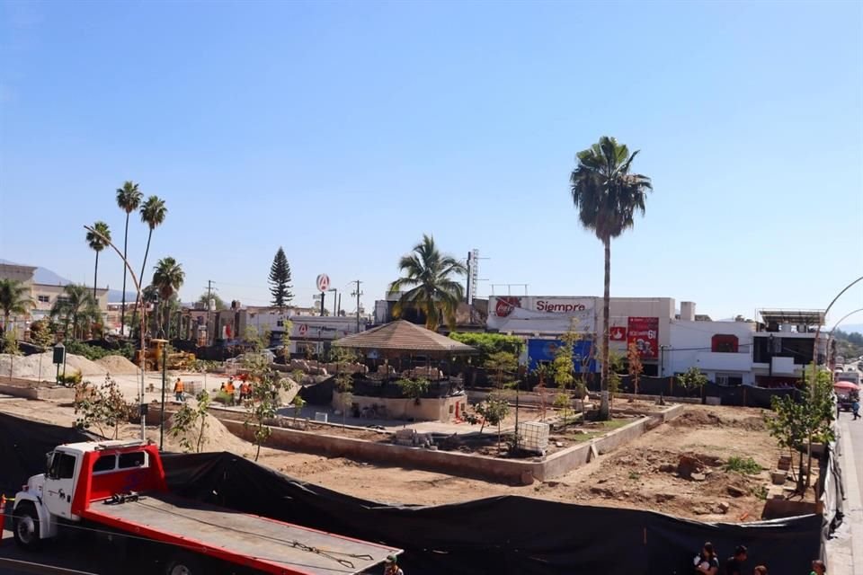 Con burlas tomaron la respuesta del amparo dirigido al Ayuntamiento de Tala, realizado por un ciudadano, con el que se pretendía evitar la tala de 59 árboles ubicados en la plaza principal.